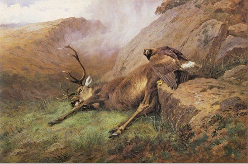 Archibald Thorburn the lost stag